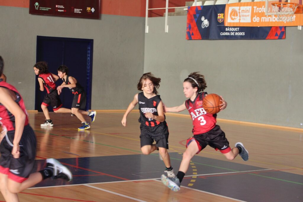 Bàsquet